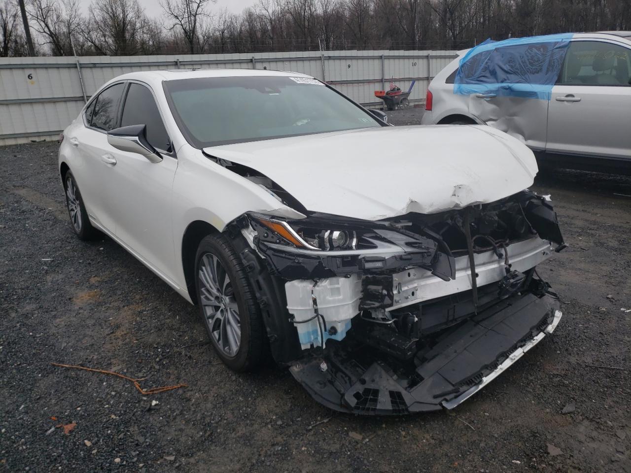 LEXUS ES 300H 2020 with VIN 58AD21B1XLU008664 - Photo from auction