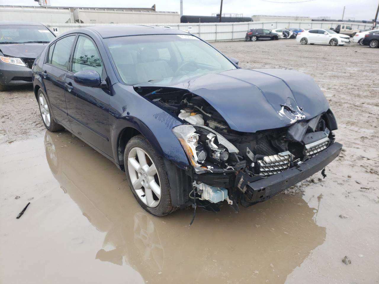 NISSAN MAXIMA SE 2004 with VIN 1N4BA41E84C904325 - Photo from auction