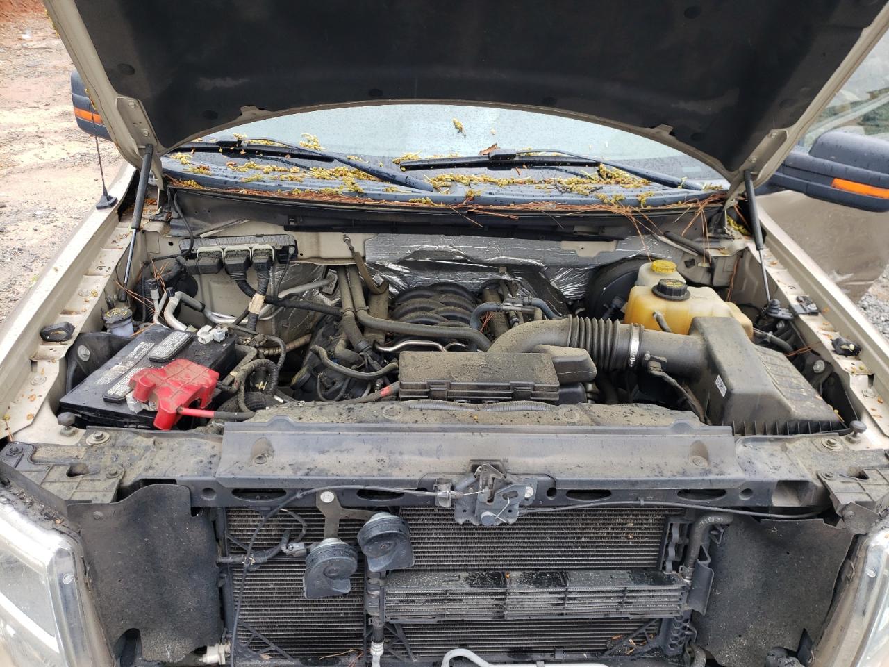 Photo 7 from auction – 2014 FORD F150 SUPER with VIN 1FTFW1CF9EFB92893