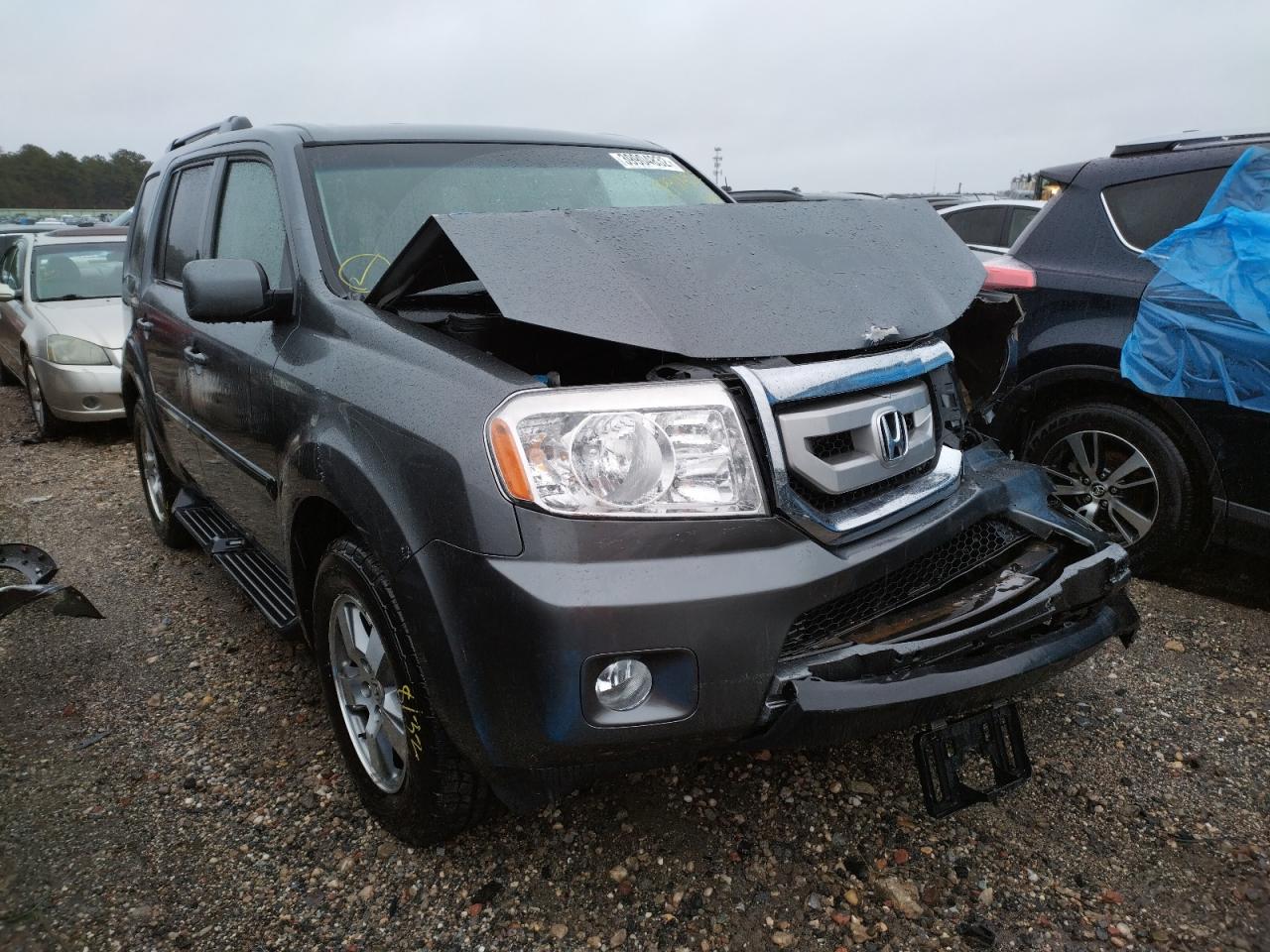 HONDA PILOT EXL 2011 with VIN 5FNYF4H59BB036248 - Photo from auction