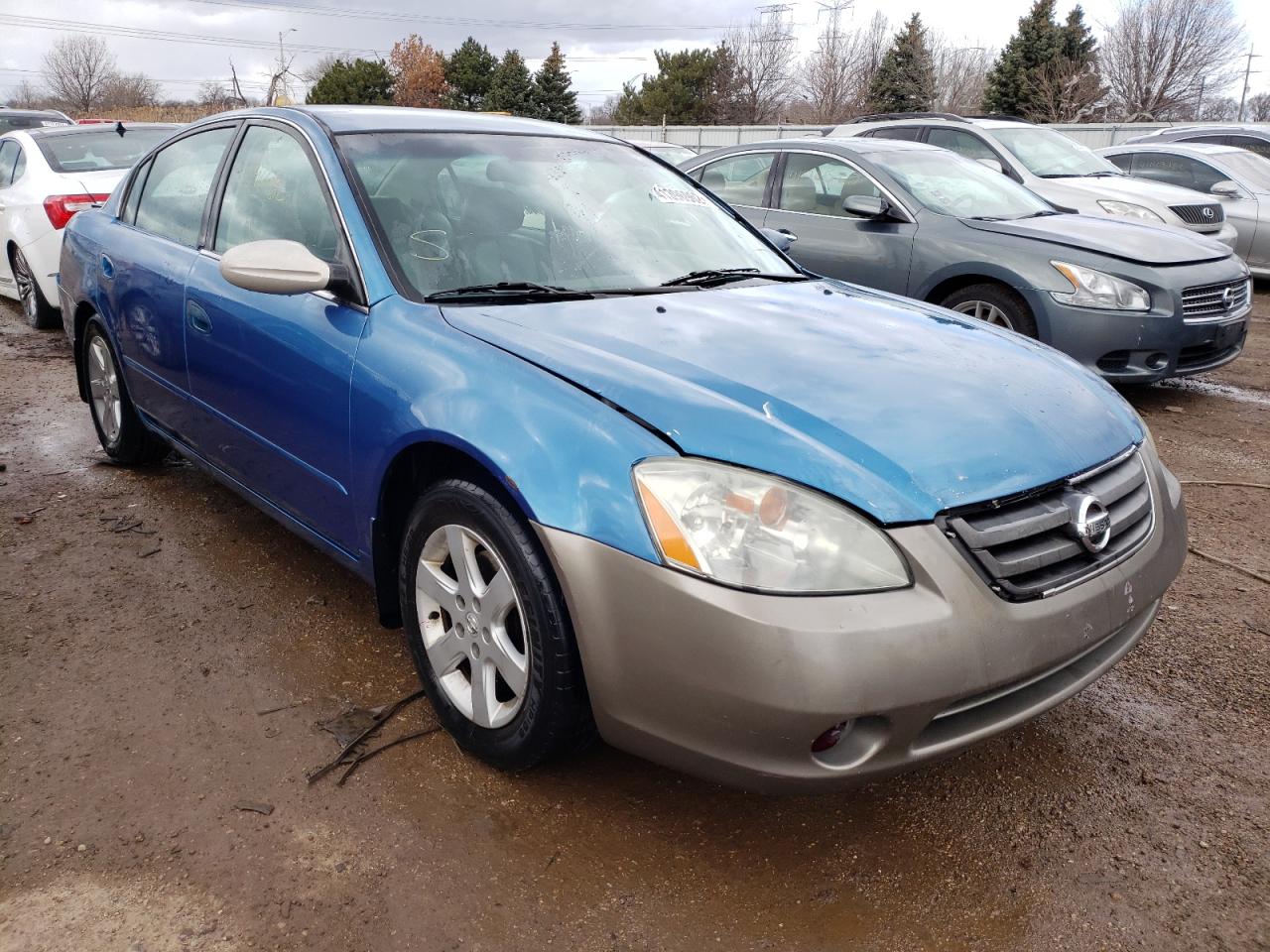 NISSAN ALTIMA 2003 with VIN 1N4AL11D03C135264 - Photo from auction
