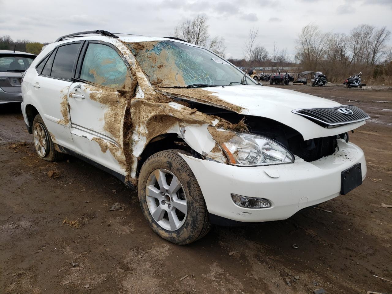 LEXUS RX 330 2006 with VIN 2T2HA31U46C098768 - Photo from auction