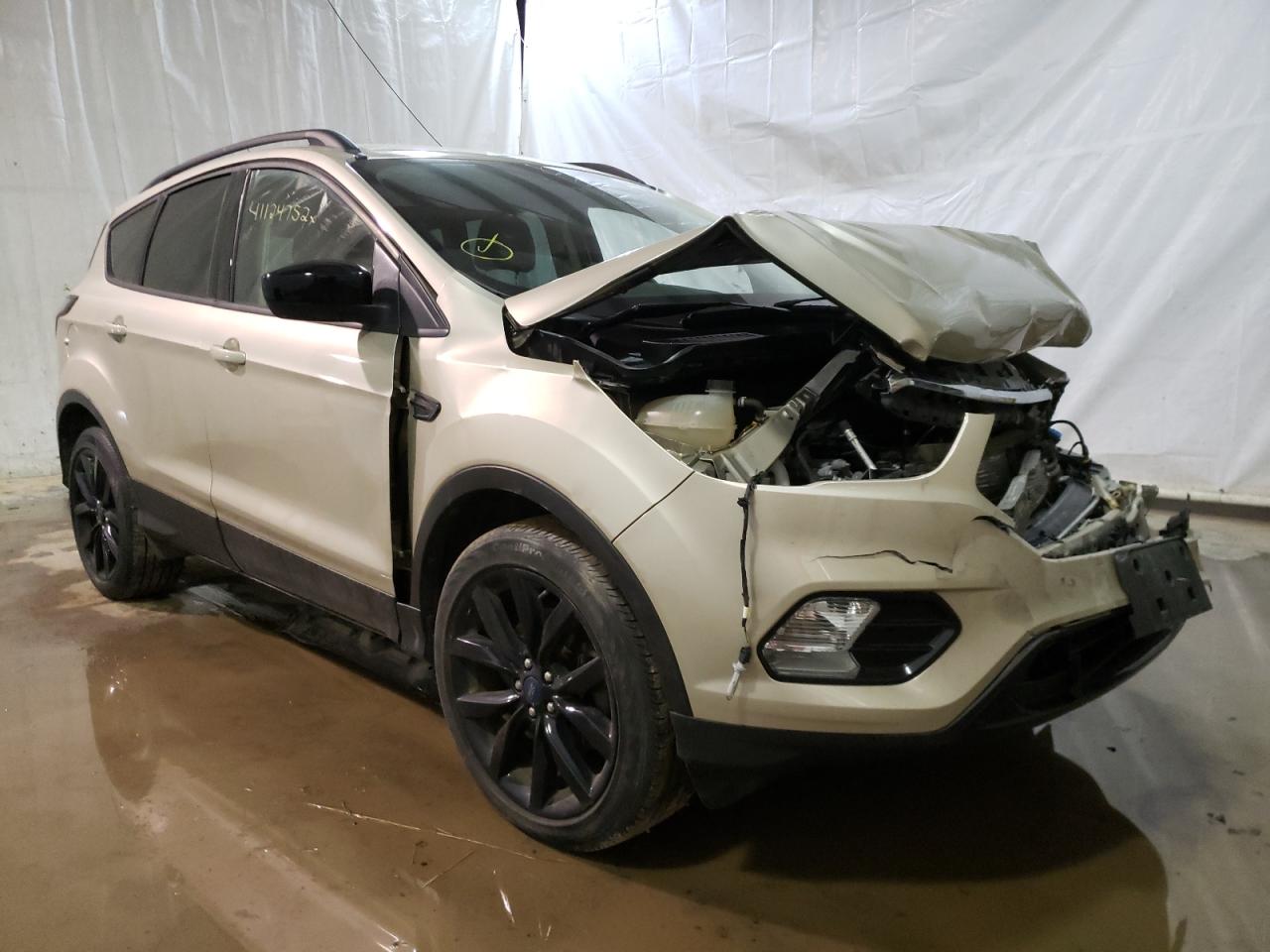 FORD ESCAPE SE 2017 with VIN 1FMCU9GD4HUB72143 - Photo from auction