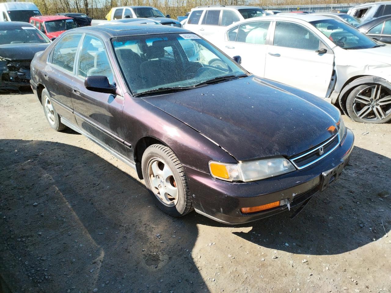HONDA ACCORD 1997 with VIN 1HGCD5604VA154476 - Photo from auction