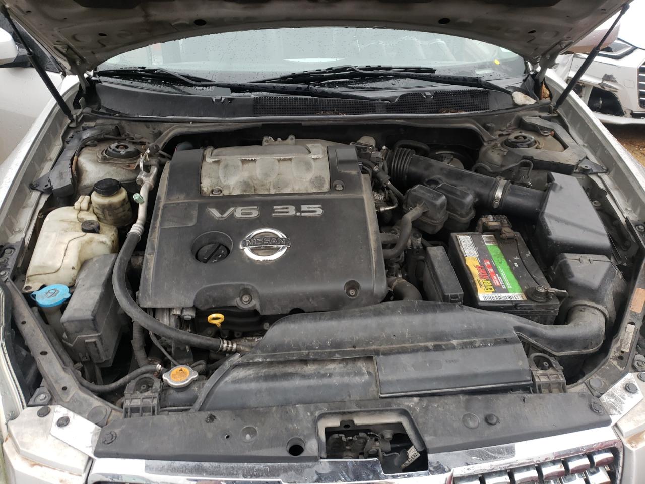 Photo 7 from auction – 2006 NISSAN MAXIMA SE with VIN 1N4BA41E86C854951