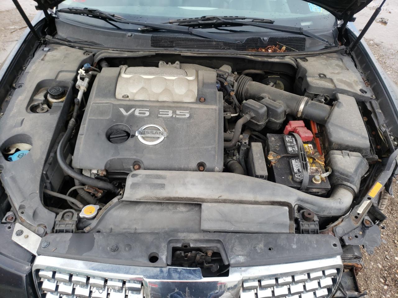 Photo 7 from auction – 2005 NISSAN MAXIMA with VIN 1N4BA41E25C801192