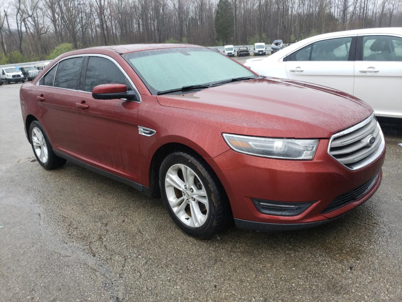 FORD TAURUS SEL 2014 with VIN 1FAHP2E81EG180084 - Photo from auction