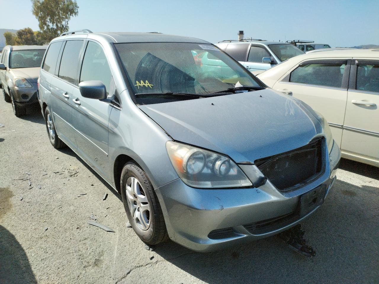 HONDA ODYSSEY EX 2007 with VIN 5FNRL38777B100304 - Photo from auction