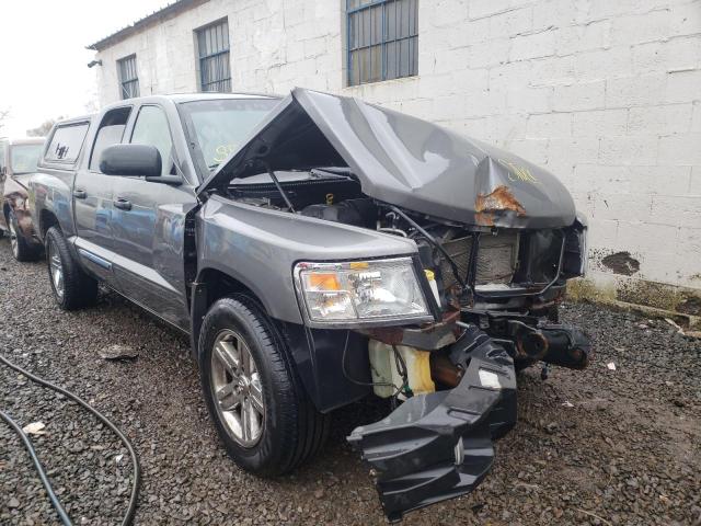 DODGE DAKOTA QUA 2008 with VIN 1D7HW58NX8S602425 - Photo from auction