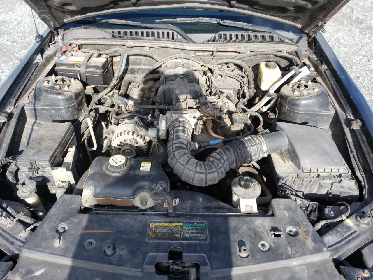Photo 7 from auction – 2007 FORD MUSTANG with VIN 1ZVFT84N575297928