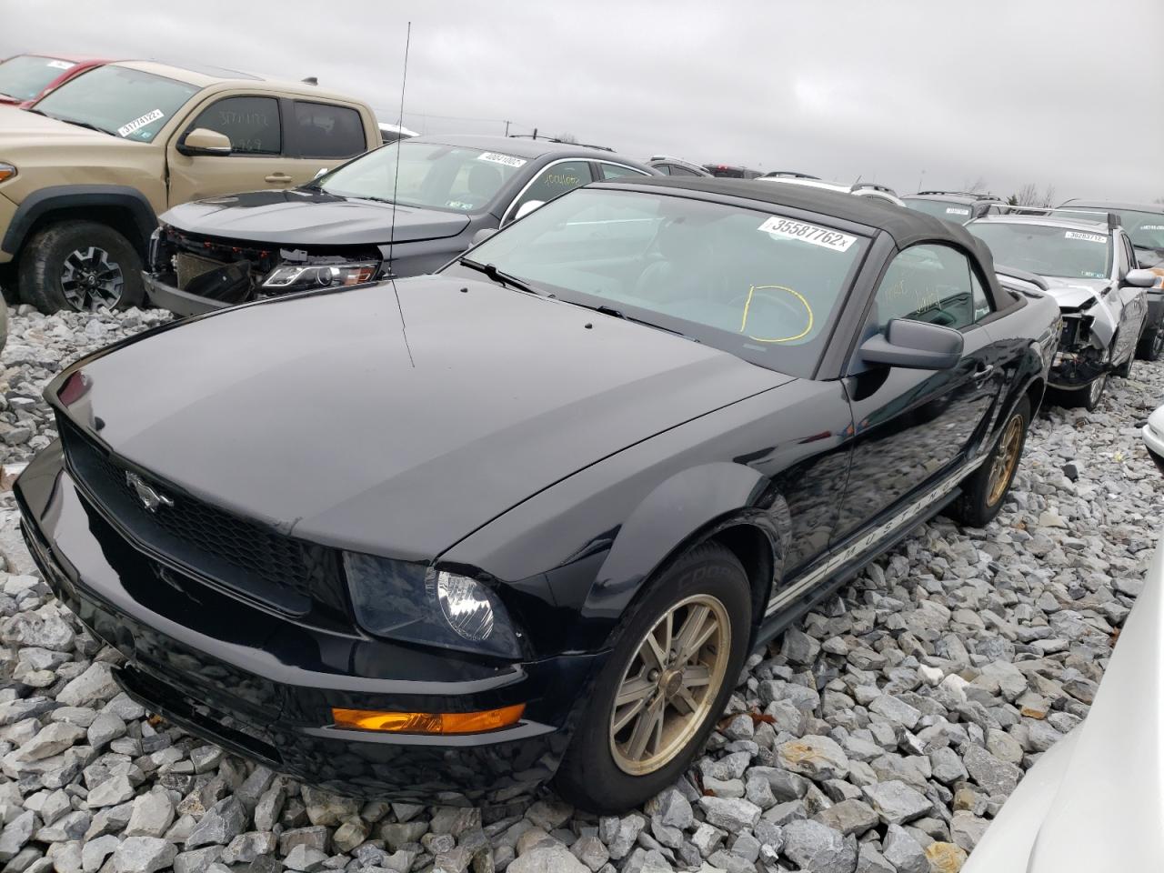 Photo 2 from auction – 2005 FORD MUSTANG with VIN 1ZVFT84N255183835