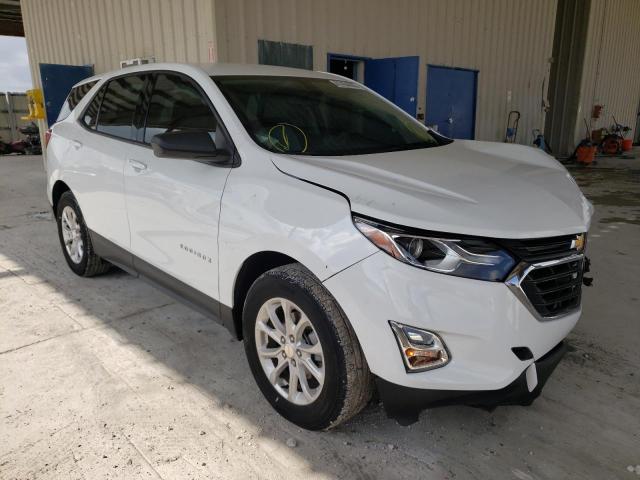 CHEVROLET EQUINOX LS 2019 with VIN 3GNAXHEV2KS618555 - Photo from auction