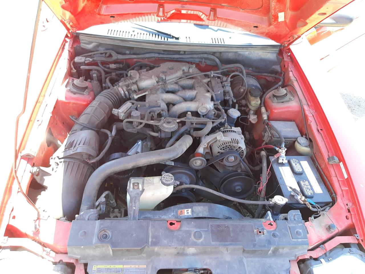 Photo 7 from auction – 2000 FORD MUSTANG with VIN 1FAFP4047YF247661