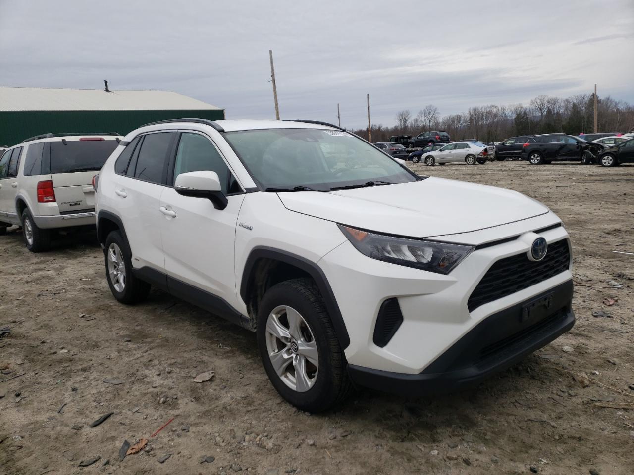TOYOTA RAV4 LE 2019 with VIN 2T3MWRFVXKW017023 - Photo from auction