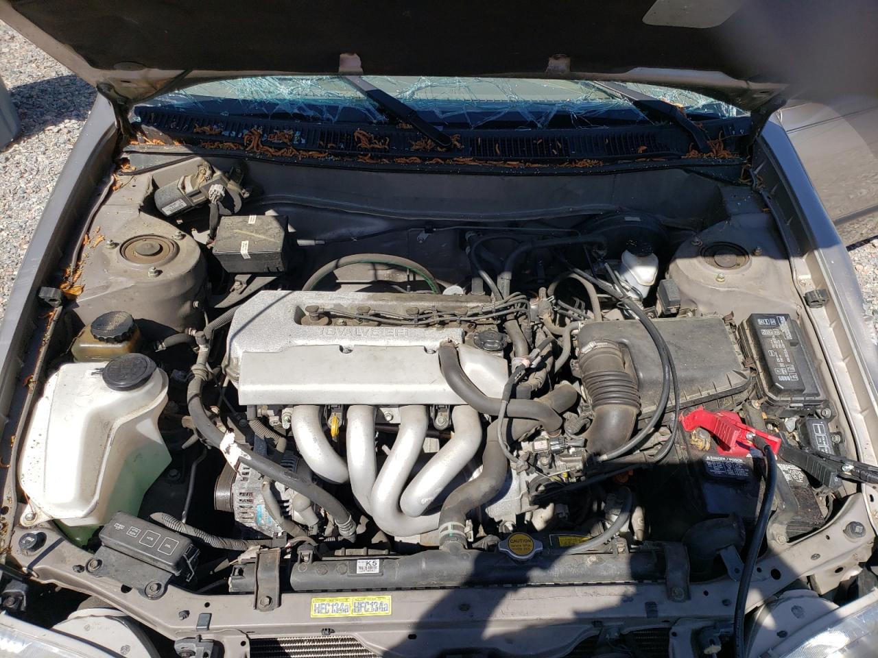 Photo 7 from auction – 1998 TOYOTA COROLLA VE with VIN 1NXBR12E1WZ079186