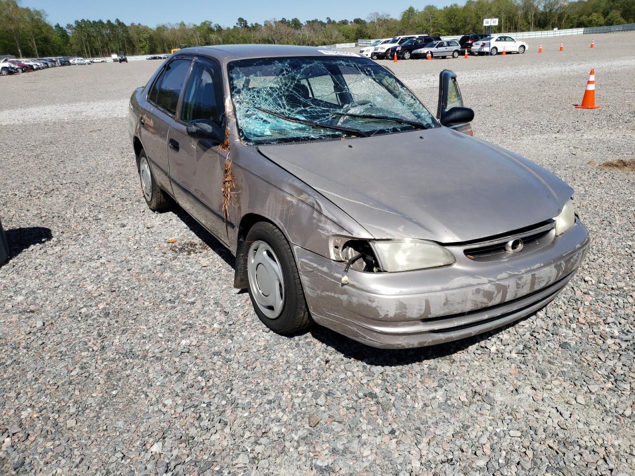 TOYOTA COROLLA VE 1998 with VIN 1NXBR12E1WZ079186 - Photo from auction