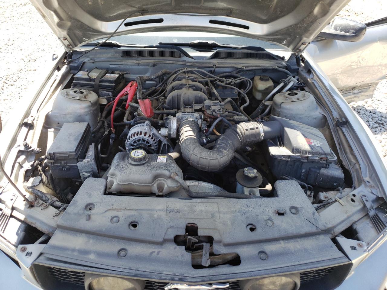 Photo 7 from auction – 2008 FORD MUSTANG with VIN 1ZVHT84N085120584