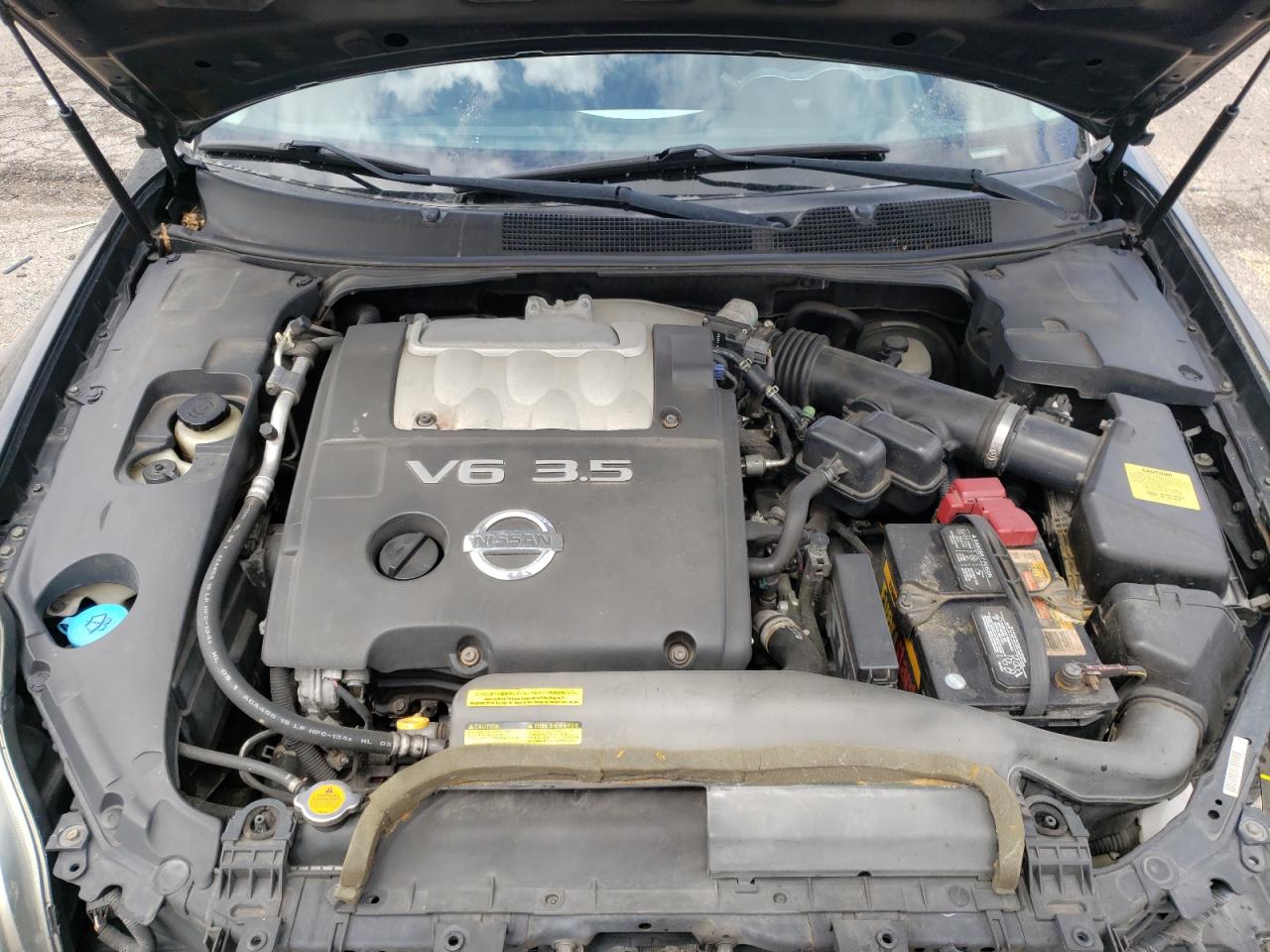 Photo 7 from auction – 2006 NISSAN MAXIMA SE with VIN 1N4BA41EX6C817819
