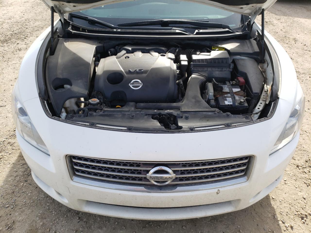 Photo 7 from auction – 2010 NISSAN MAXIMA S with VIN 1N4AA5AP9AC804846