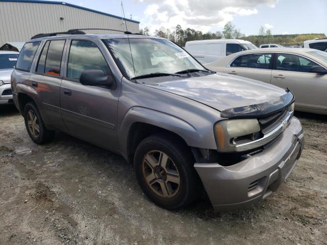 CHEVROLET TRAILBLAZE 2007 with VIN 1GNDT13S072289981 - Photo from auction