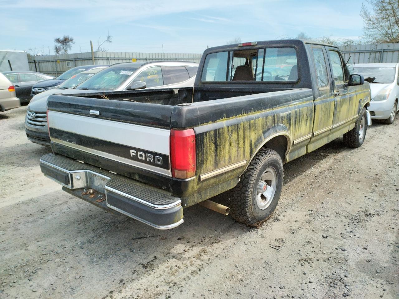 Photo 4 from auction – 1995 FORD F150 with VIN 1FTEX15N1SKA51669