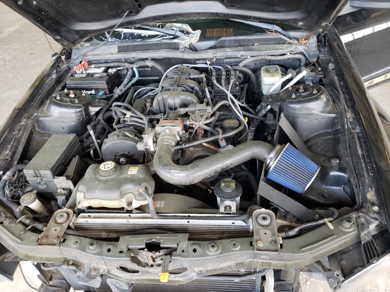 Photo 7 from auction – 2005 FORD MUSTANG with VIN 1ZVFT80N855141126