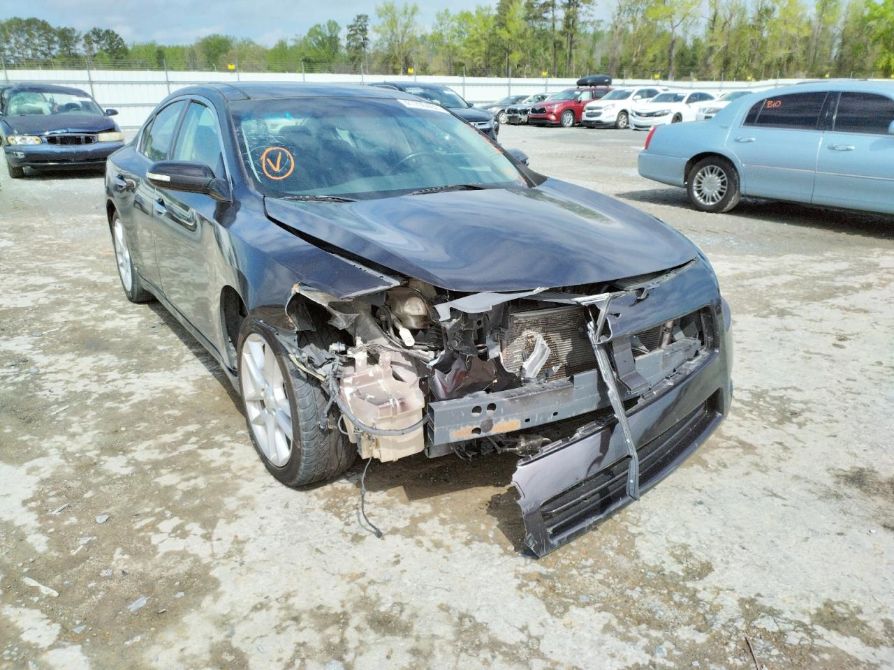 Photo 9 from auction – 2010 NISSAN MAXIMA S with VIN 1N4AA5AP5AC823779