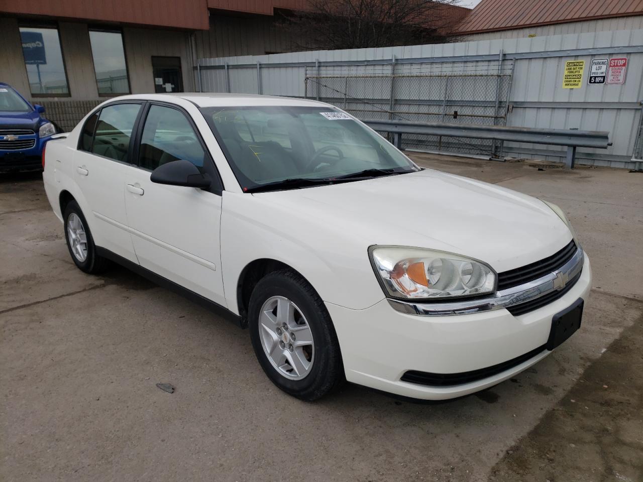 CHEVROLET MALIBU LS 2004 with VIN 1G1ZT54804F110375 - Photo from auction