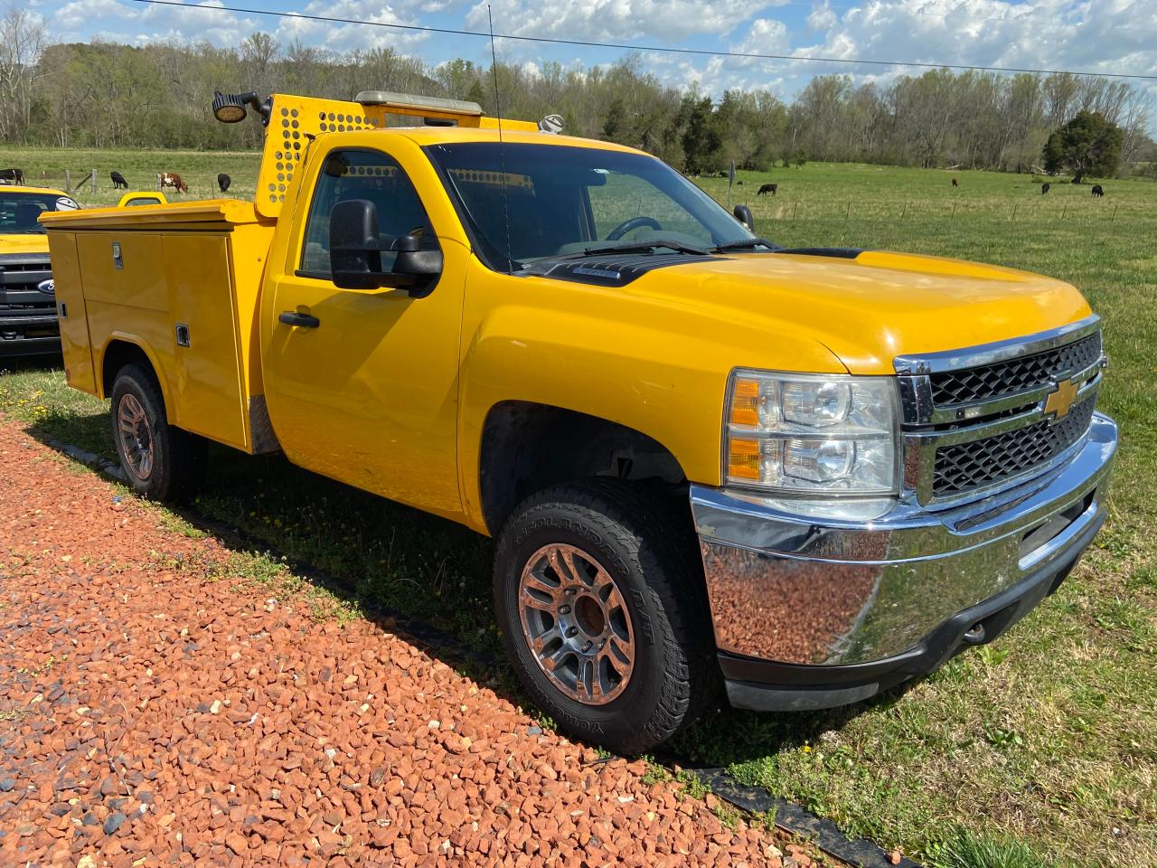 CHEVROLET SILVERADO 2013 with VIN 1GB0CVCG1DF197653 - Photo from auction