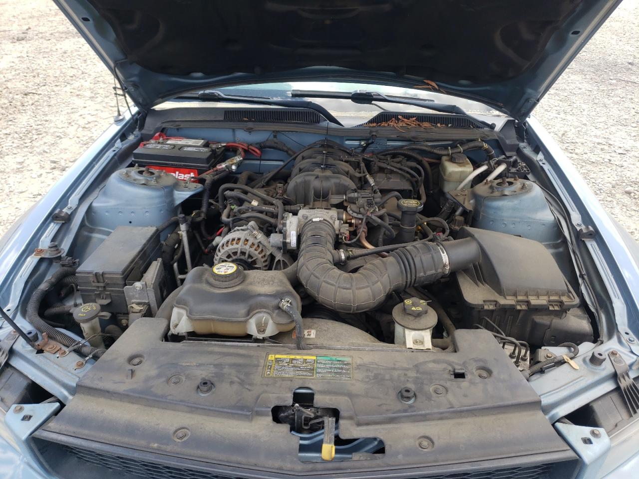 Photo 7 from auction – 2005 FORD MUSTANG with VIN 1ZVFT80N555129659