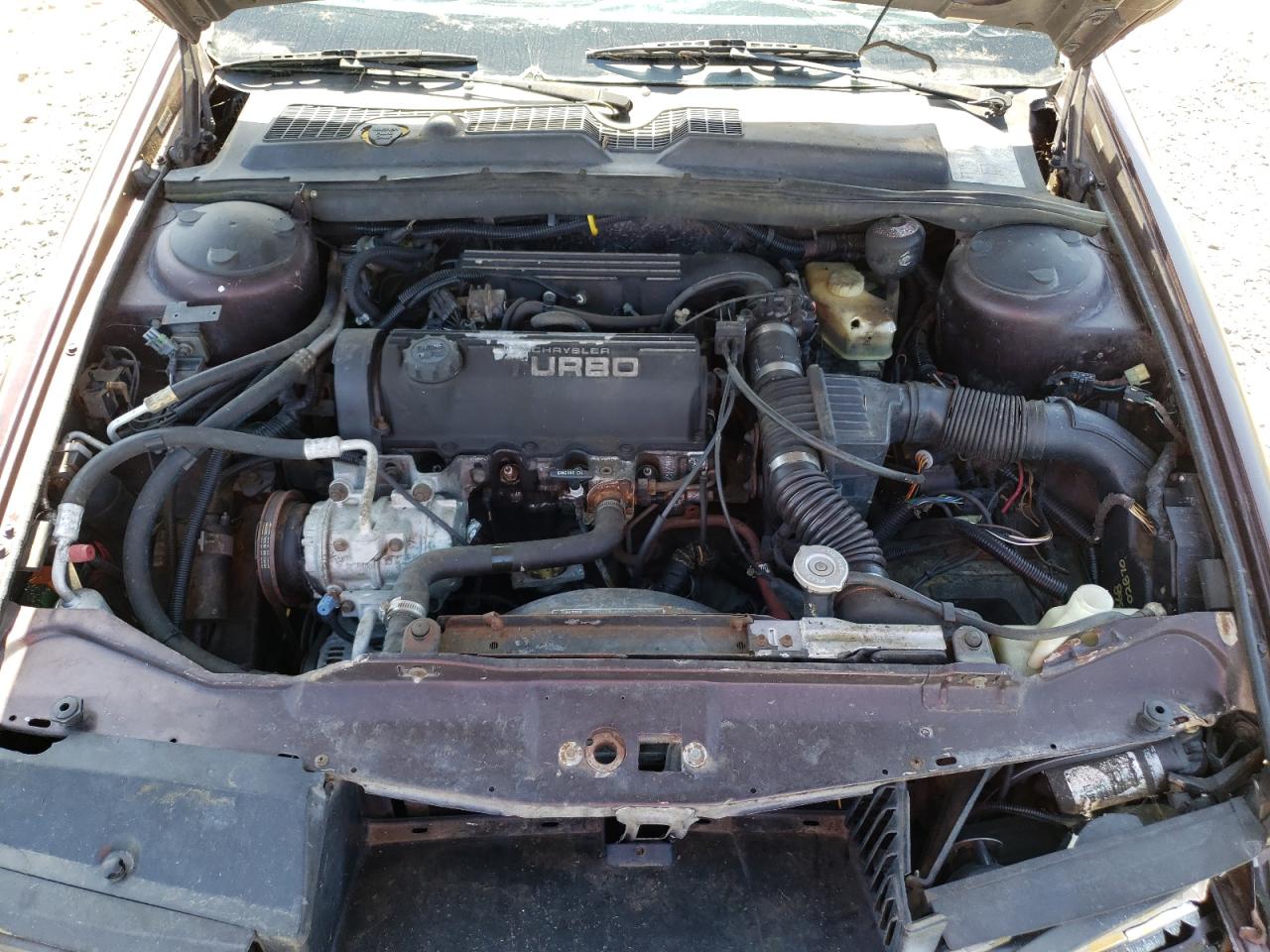 Photo 7 from auction – 1989 CHRYSLER TC BY MASE with VIN ZC2FP1109KB202170