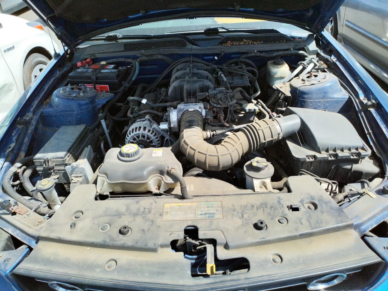 Photo 7 from auction – 2006 FORD MUSTANG with VIN 1ZVFT80N165142247