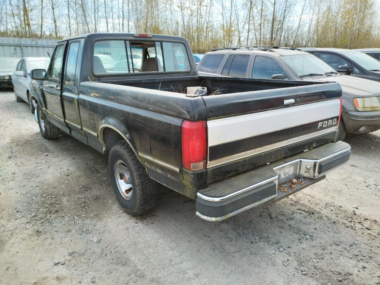 Photo 3 from auction – 1995 FORD F150 with VIN 1FTEX15N1SKA51669