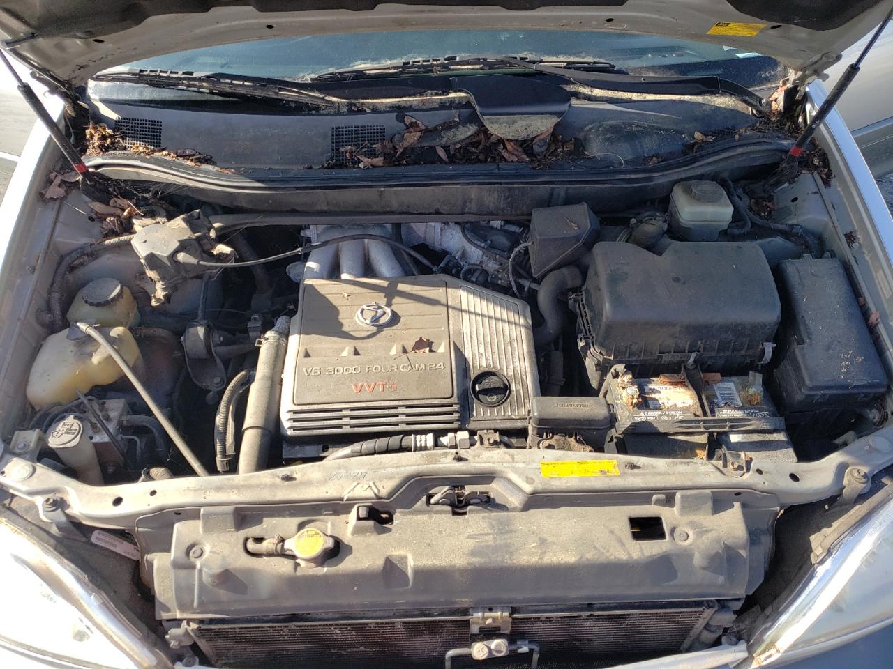 Photo 7 from auction – 2002 LEXUS RX 300 with VIN JTJHF10UX20238853