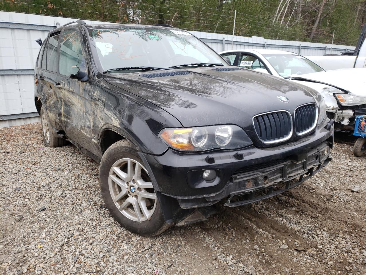 BMW X5 3.0I 2005 with VIN 5UXFA13555LY16193 - Photo from auction
