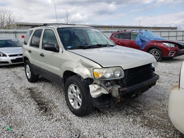 FORD ESCAPE XLT 2005 with VIN 1FMCU93145DA12559 - Photo from auction