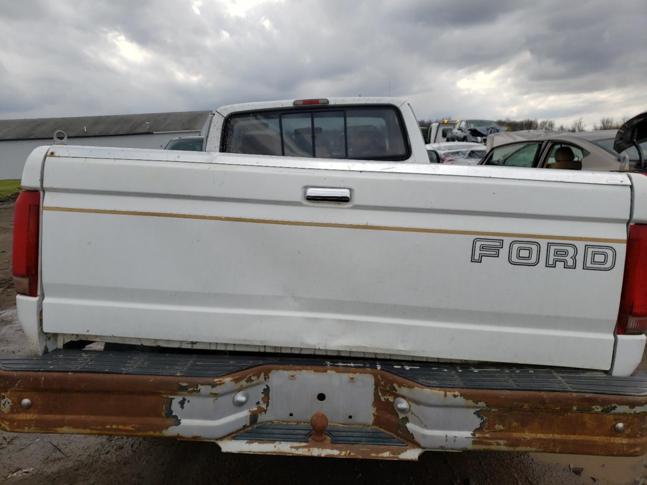 Photo 6 from auction – 1994 FORD F150 with VIN 1FTEF15N5RLA38835