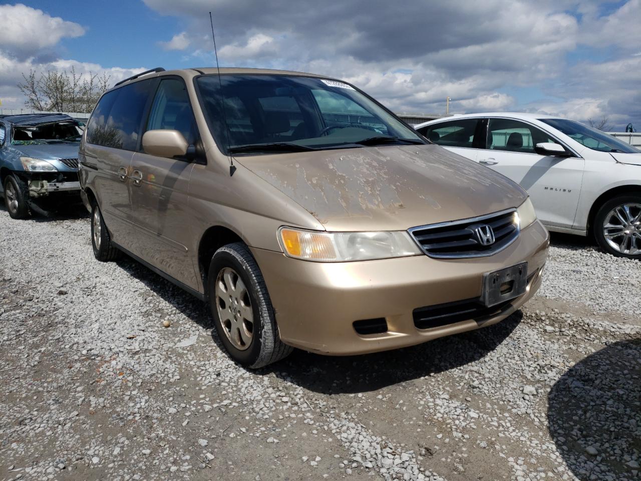 HONDA ODYSSEY EX 2002 with VIN 2HKRL18632H590214 - Photo from auction