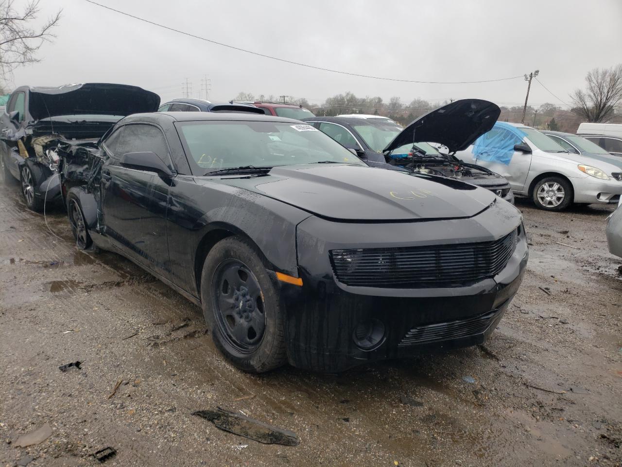 CHEVROLET CAMARO LS 2011 with VIN 2G1FA1ED9B9131910 - Photo from auction