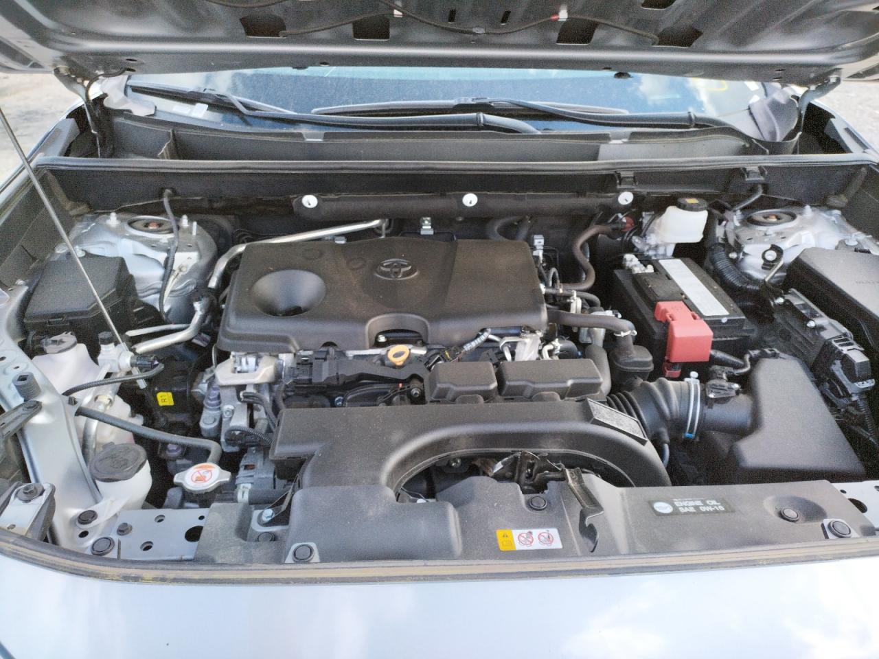 Photo 7 from auction – 2019 TOYOTA RAV4 XLE with VIN 2T3P1RFV4KW011004