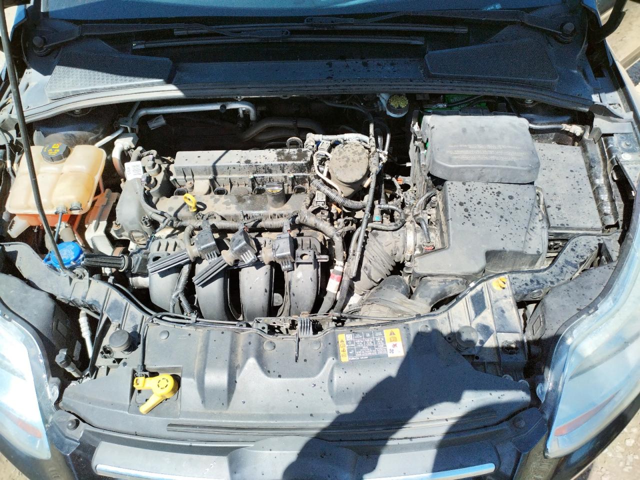 Фото 7 с аукциона – 2014 FORD FOCUS SE с VIN 1FADP3K29EL446446