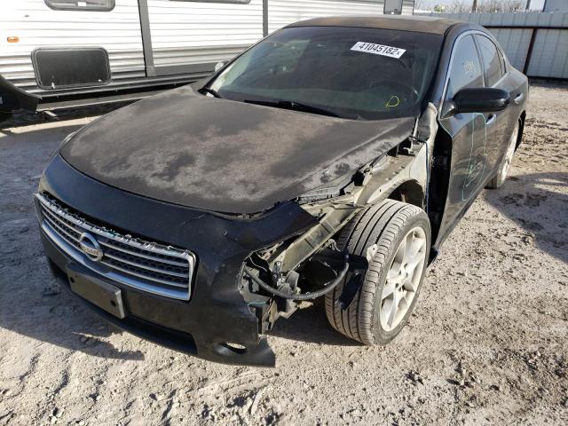 Photo 2 from auction – 2010 NISSAN MAXIMA S with VIN 1N4AA5AP2AC800671