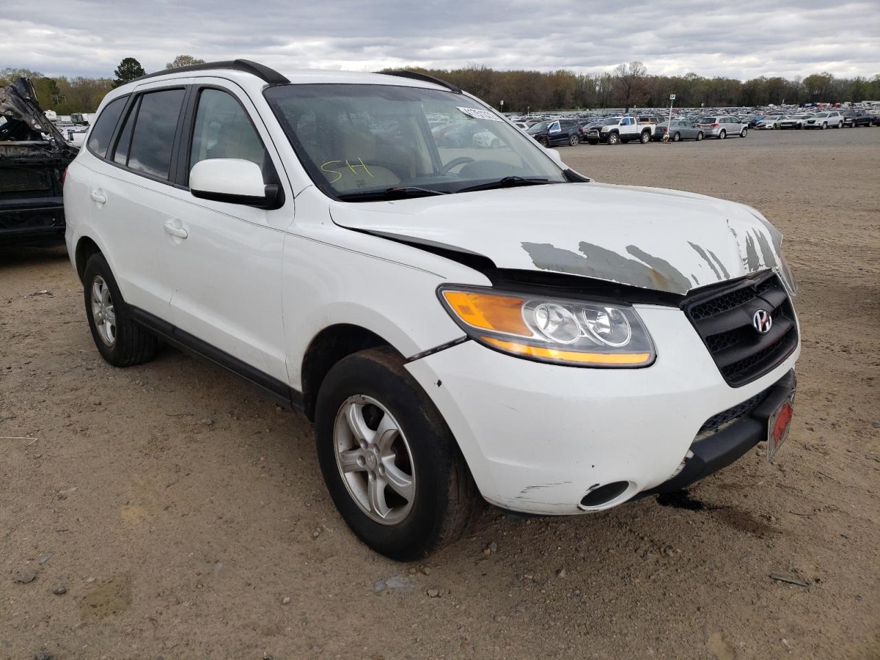 HYUNDAI SANTA FE G 2008 with VIN 5NMSG13D58H220089 - Photo from auction