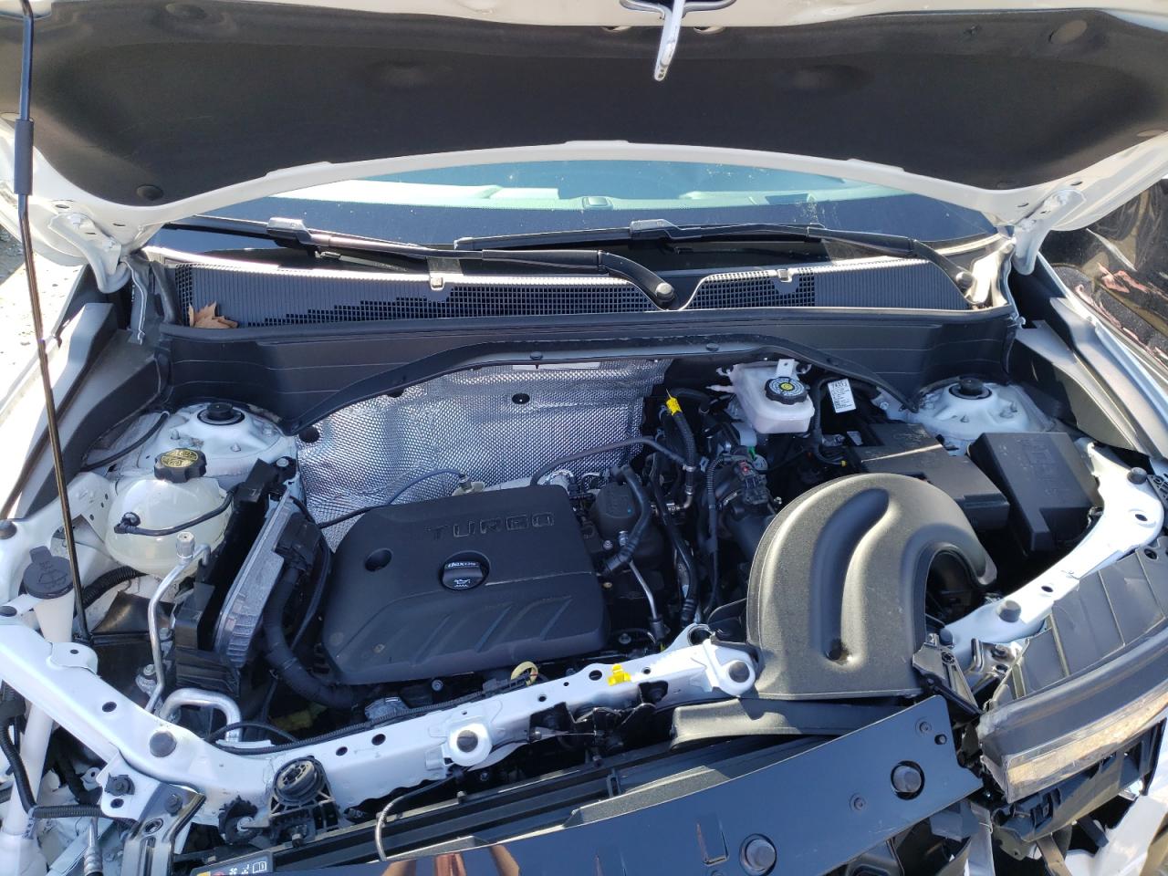 Photo 7 from auction – 2021 CHEVROLET TRAILBLAZE with VIN KL79MTSL8MB075685