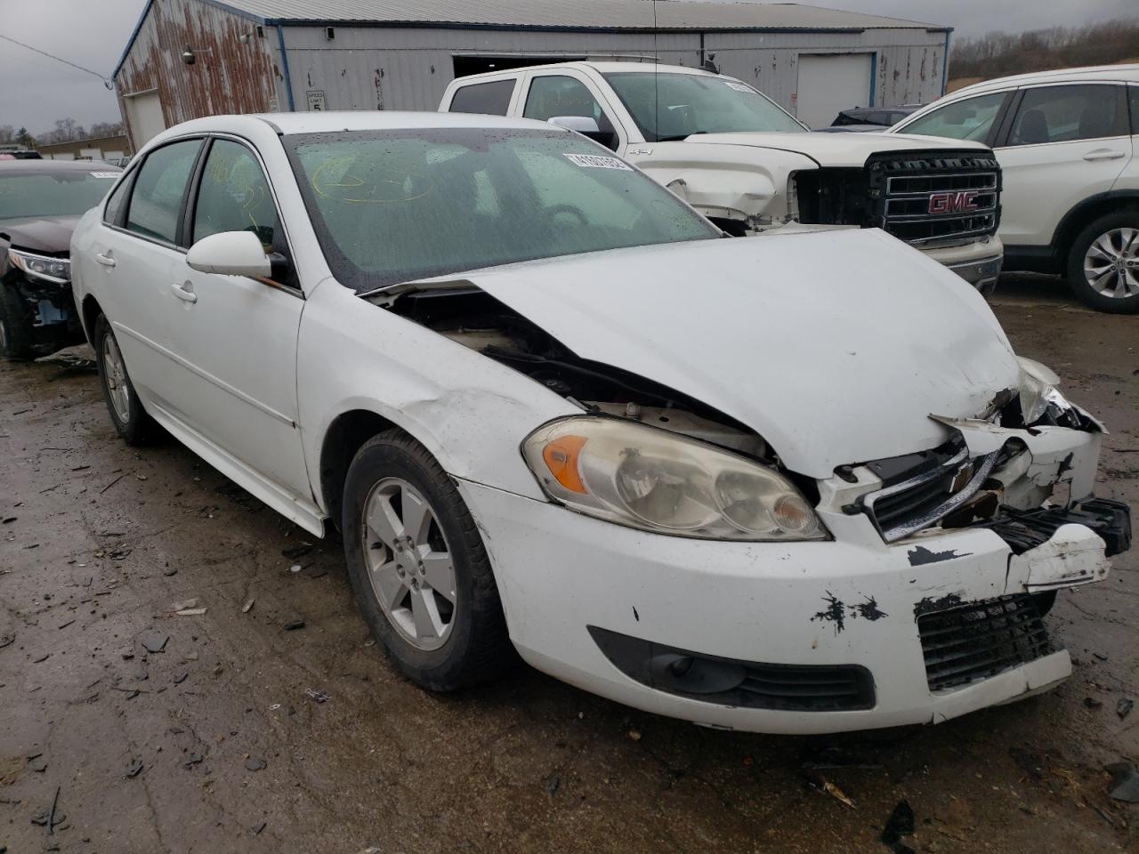 CHEVROLET IMPALA LT 2010 with VIN 2G1WB5EK3A1189186 - Photo from auction