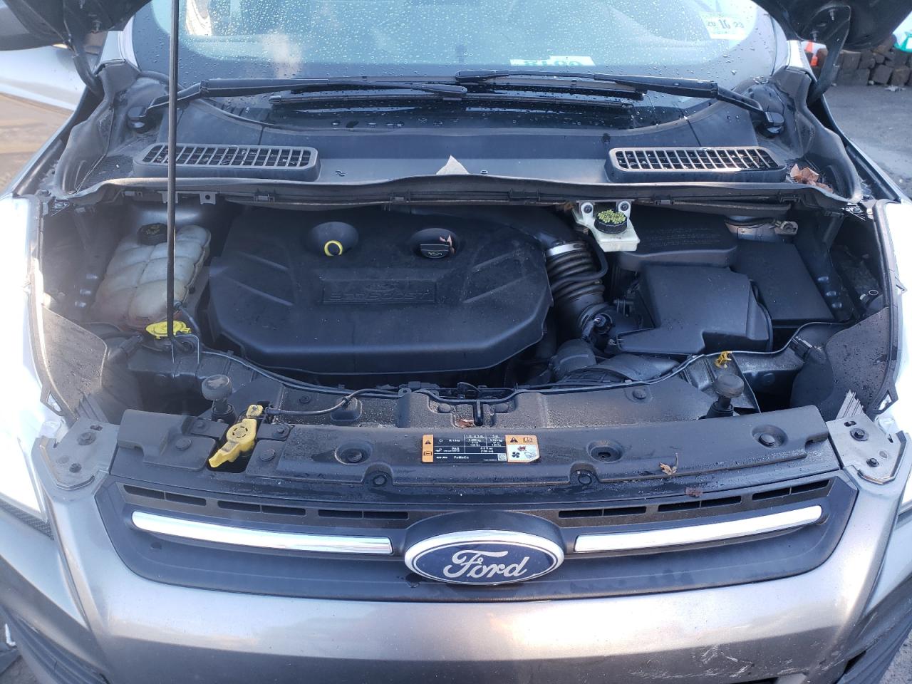 Photo 7 from auction – 2014 FORD ESCAPE SE with VIN 1FMCU9G91EUE45210