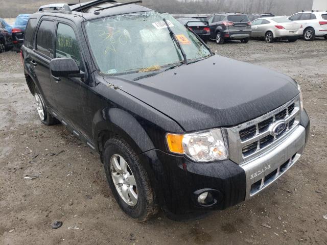 FORD ESCAPE LIM 2010 with VIN 1FMCU9E71AKB10763 - Photo from auction