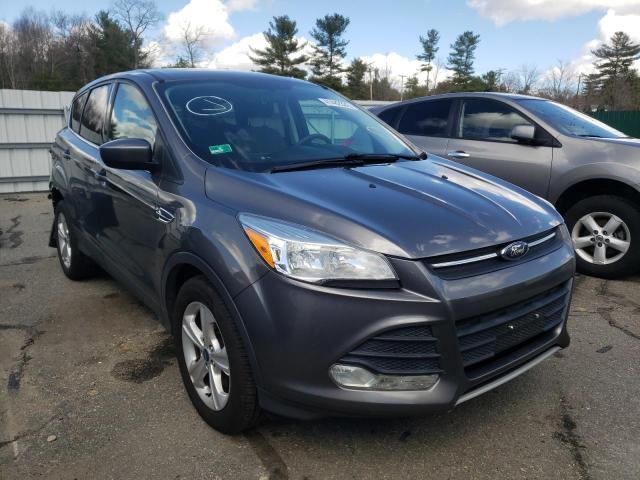 FORD ESCAPE SE 2014 with VIN 1FMCU9G97EUB36261 - Photo from auction