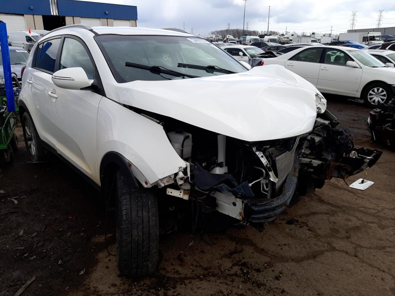 KIA SPORTAGE B 2014 with VIN KNDPB3AC6E7639808 - Photo from auction