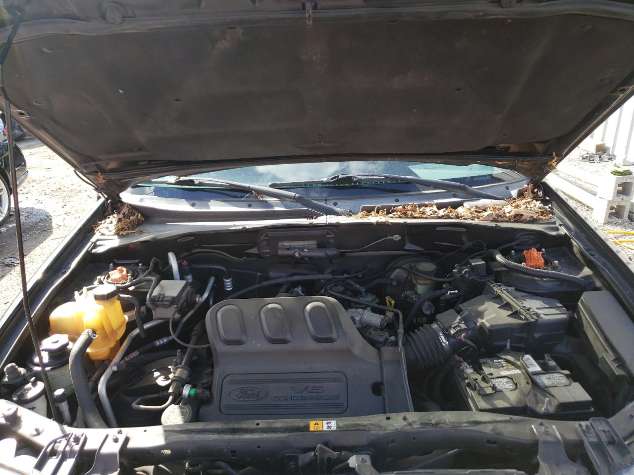 Photo 7 from auction – 2003 FORD ESCAPE LIM with VIN 1FMCU94113KE11209